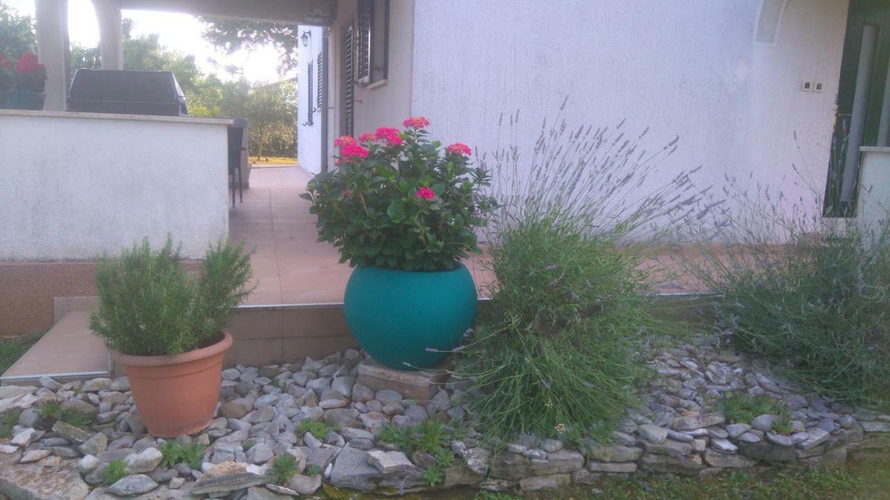 Apartmani Bauk Poreč Extérieur photo