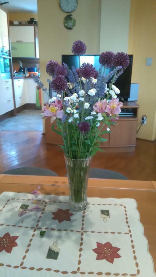 Apartmani Bauk Poreč Extérieur photo