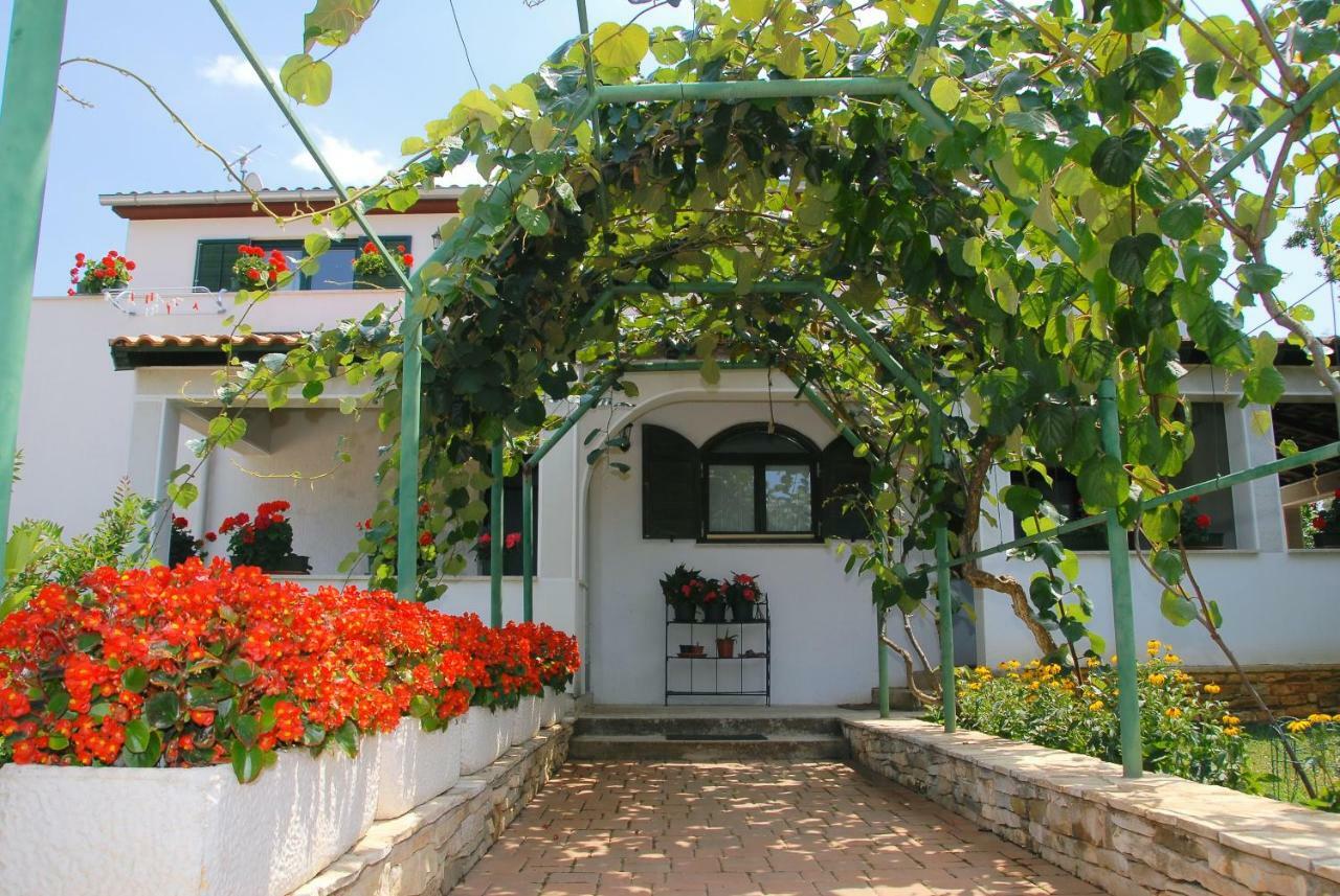 Apartmani Bauk Poreč Extérieur photo
